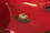 mont used front engine mount.jpg