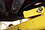 motor mout crossmember end.jpg